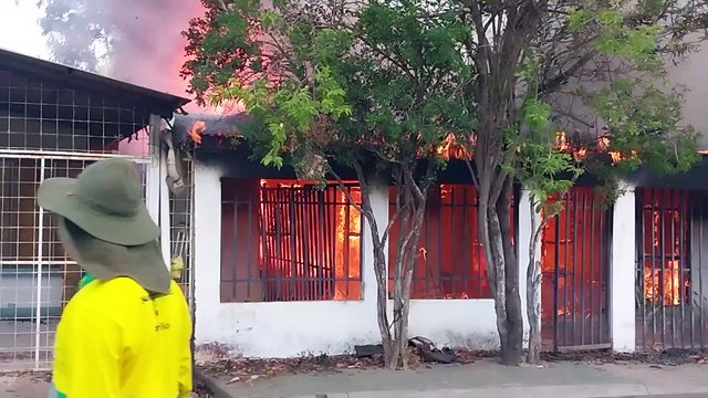 Bomberos rescata a adulta mayor y tres animales durante incendio