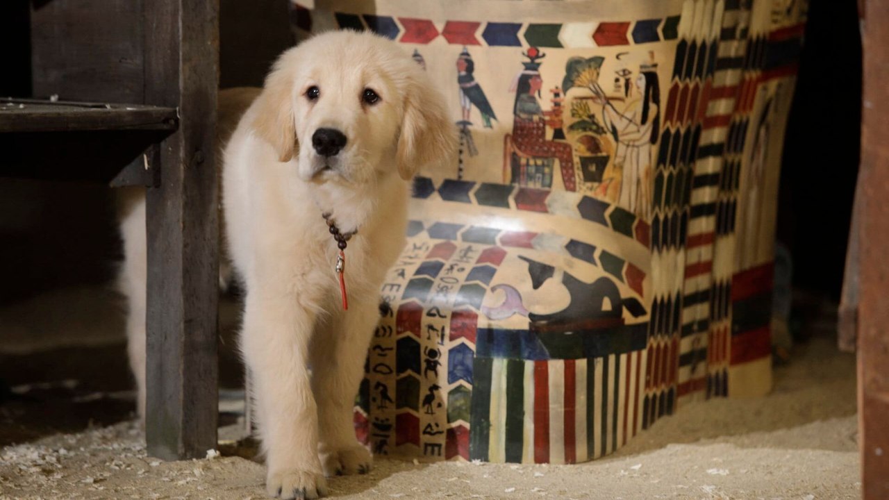 Les copains chasseurs de trésors