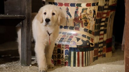 Les copains chasseurs de trésors