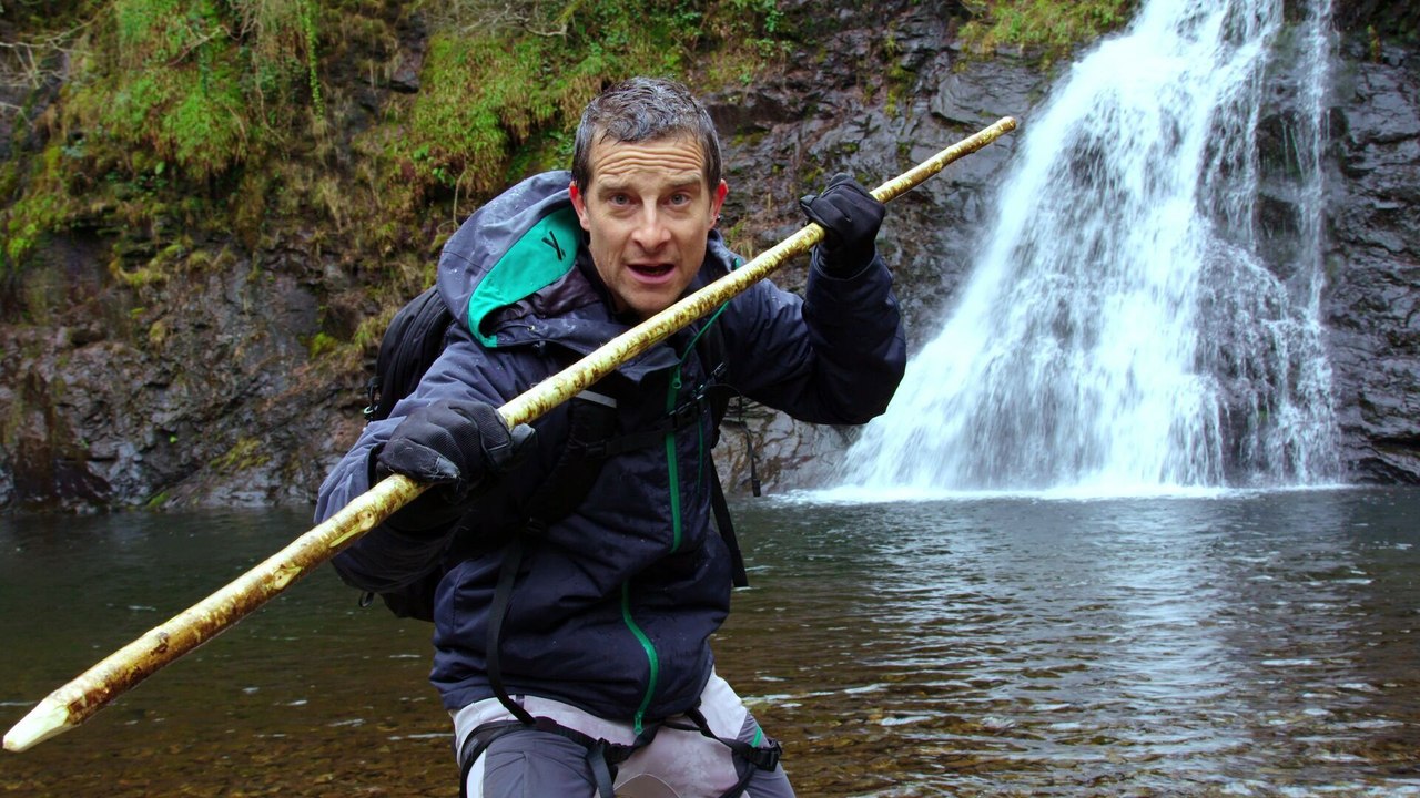 You vs. Wild