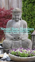 ✅💘Música relaxante para Yoga, acalma o corpo e equilibra o espírito, alivia o estresse e durma bem-  Fragmentos #40