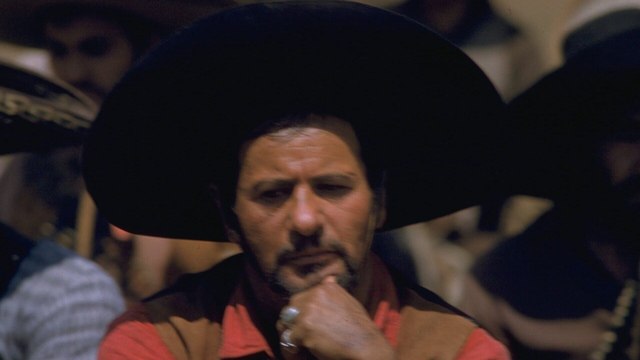 Les sept mercenaires