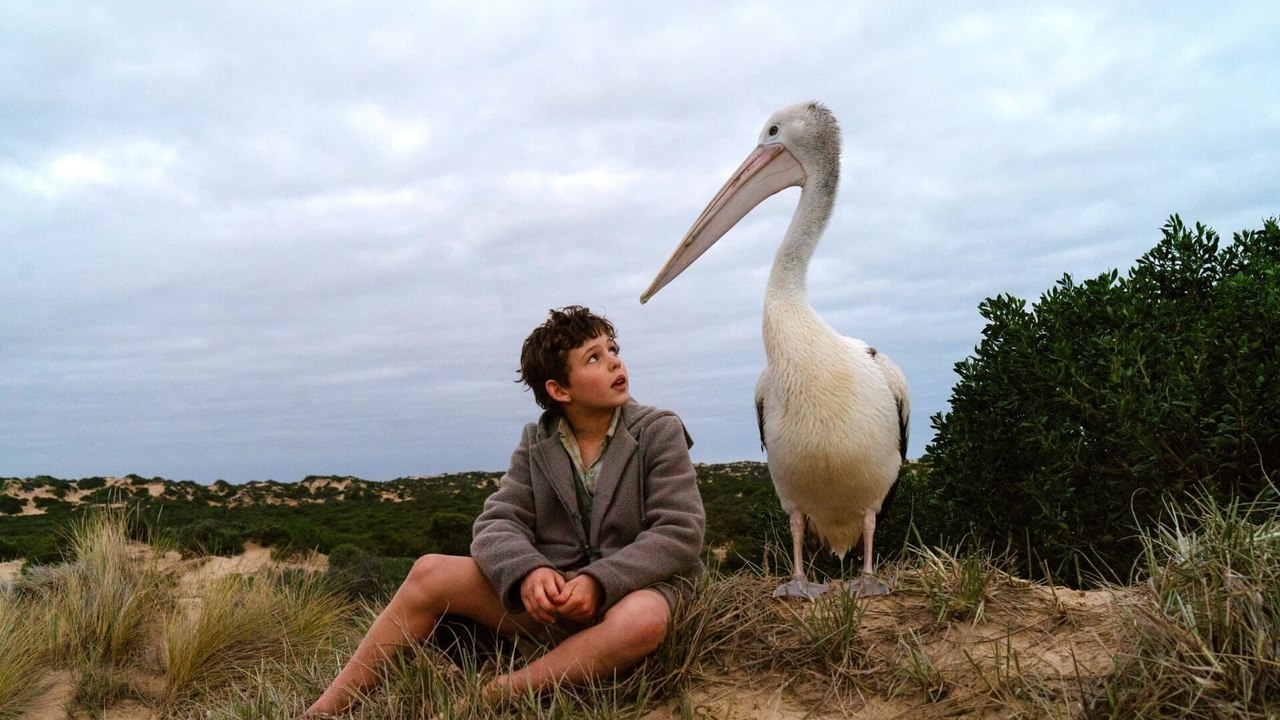 Storm Boy