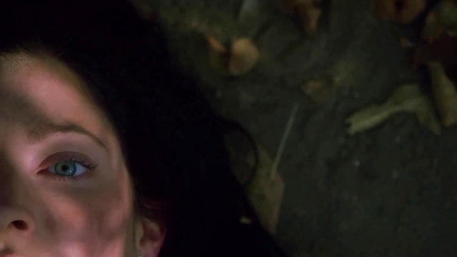 Soeurs jumelles, soeurs ennemies