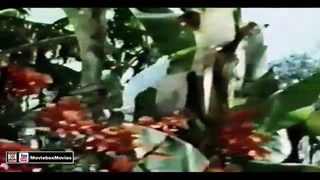 Meine pairon mein payal