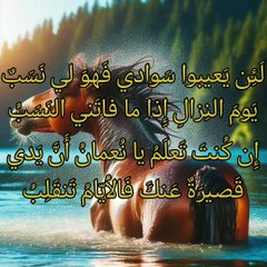 لا يحمل الحقد من تعلو بع الرتب ،  عنترة بن شداد العبسي