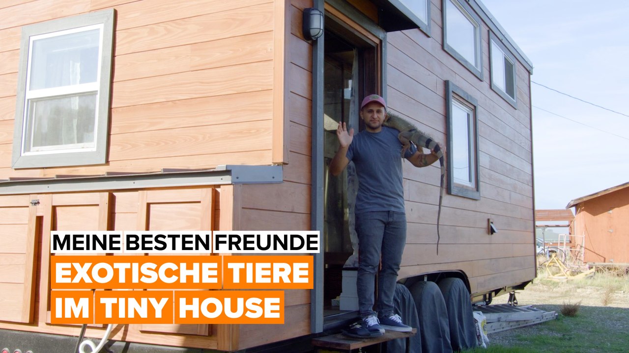 Meine besten Freunde: Schlange, Leguan & Co.