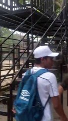 Parque Zoológico del Centenario- Mérida - Yucatán - 4K