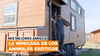 Mis mejores amigos: la serpiente, la iguana y el resto de la pandilla