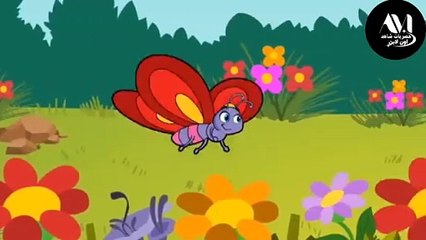 اغنية الفراشه 🦋🦋🦋 اغاني اطفال