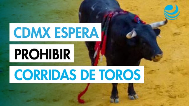 Gobierno de CDMX promueve prohibir el maltrato de animales en las corridas de toros