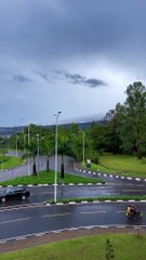 Amazing African wildlife #animallife #travel