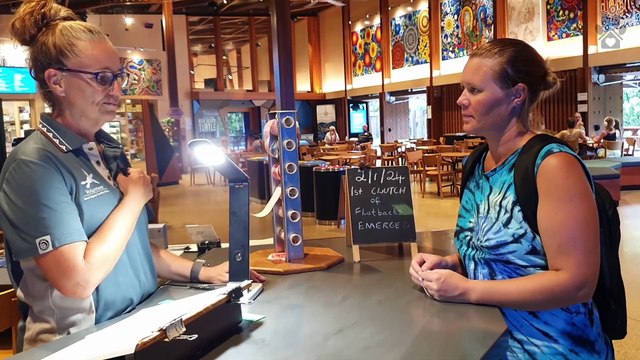 Witnessing Rare Turtle Magic: Nesting & Hatching in One Night | Mon Repos Australia