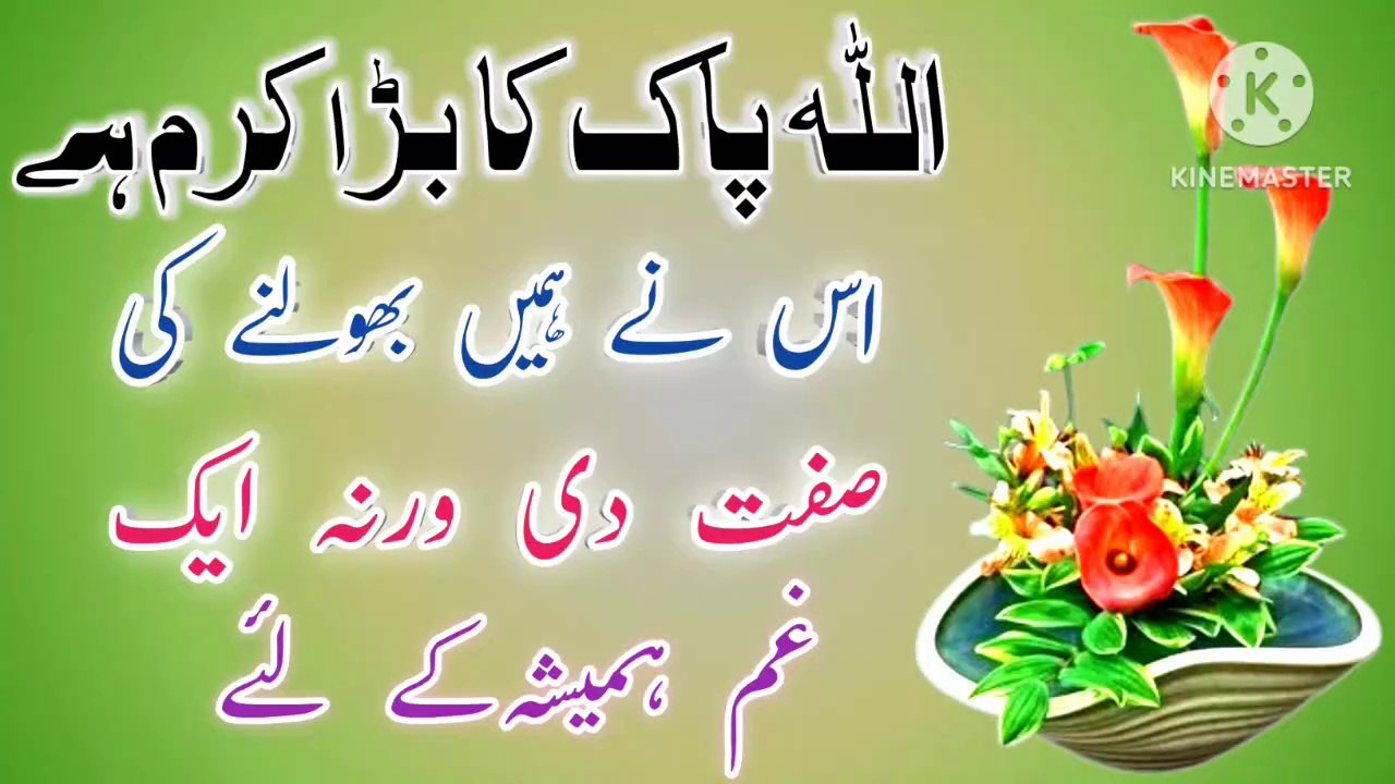 Allah Ne Hame Bhoolne Ki Sift Di Warna💯! Urdu Islamic quotes💥! Best Urdu Quotes🔥! ISLAMIC URDU MEWAT
