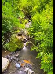 Pakistan ki Khoobsurat Nature | Scenic Views of Pakistan #nature #natureofpakistan #pakistan #beautypakistan #pakistankpk