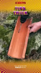 Tips Trick Today, Jumat 14 Maret 2025