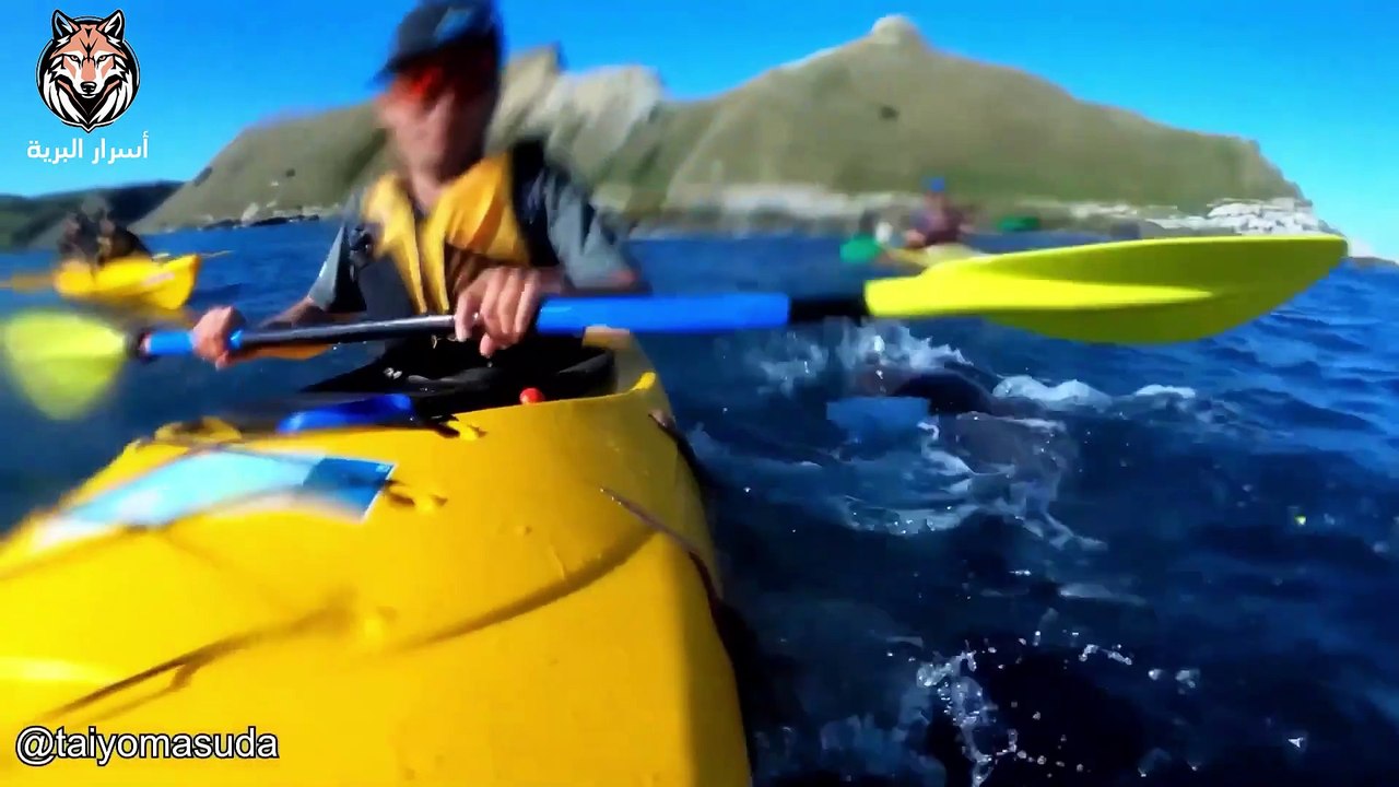 The most dangerous moments are when animals attack!