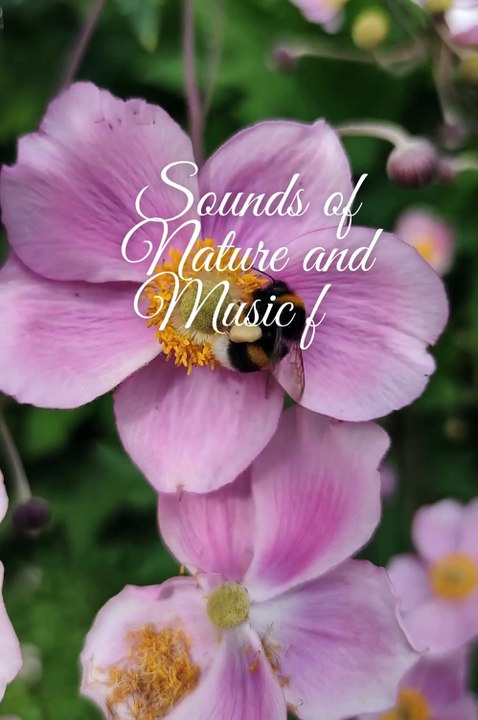 Nature and music - the perfect combination for inspiration