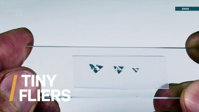 Is This The Smallest Flying Machine Ever Made?