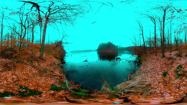 Frozen Lake 🧊 Bird Sounds & Nature 360 VR - Winter Peace for Sleep & Meditation