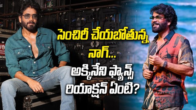 Akkineni Nagarjuna : నాగ్ వందవ సినిమా | Akkineni Fans | K A Karthik | Tamil Director | Filmibeat