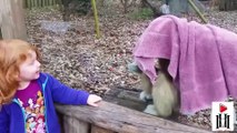 BABY AND ANIMAL - Crying Babies With Animal - Funny Baby Videos  Just Fun