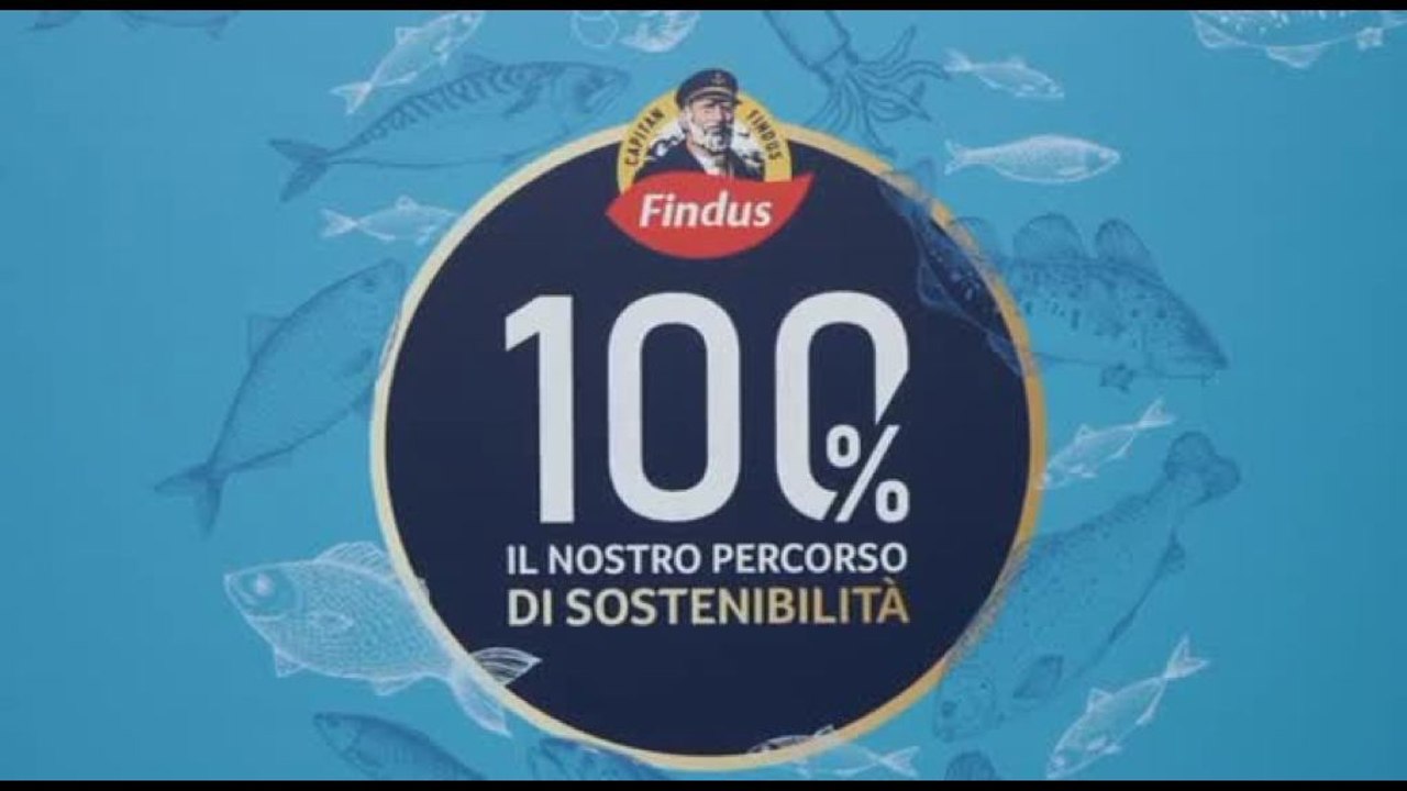 Findus: il 100% dei prodotti ittici è certificato da pesca sostenibile