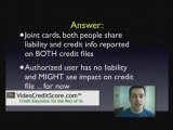 Joint user vs authorized user credit cards