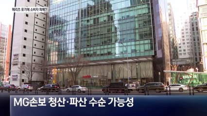 메리츠, MG손보 포기…청산시 소비자 피해 우려