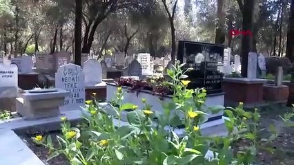 Mezarlığı ziyaret eden 2 kadından tepki çeken pozlar