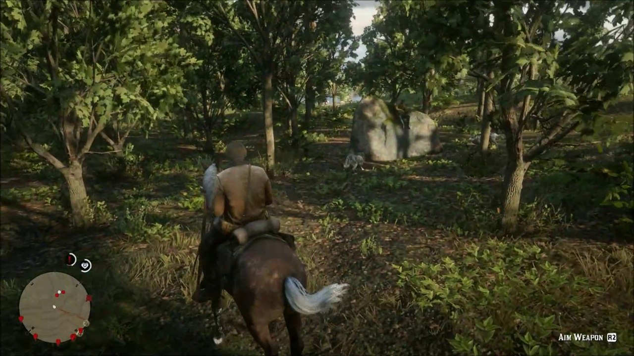 RDR 2: C2 # 31 - Animal Attack