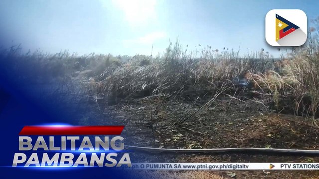 Insidente ng grass fire sa Ilocos Norte, tumaas