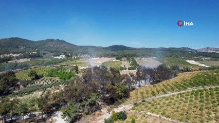 Mersin'de orman yangını: 1,5 hektar alan zarar gördü