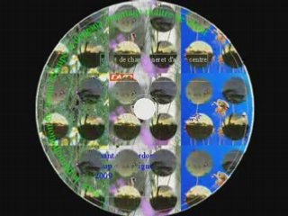 chant de chardonneret