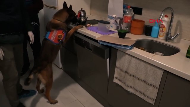 Denizli'de 517 bin 800 kullanımlık uyuşturucu ele geçirildi