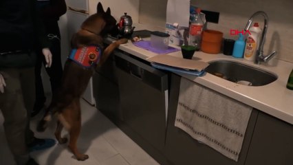 Denizli'de 517 bin 800 kullanımlık uyuşturucu ele geçirildi