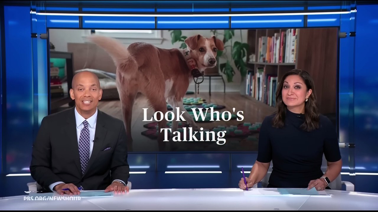 How button boards are changing human-canine communication