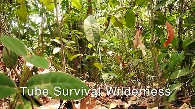 Most Amazing Underground Swimming Pool and Dig To Build Underground House