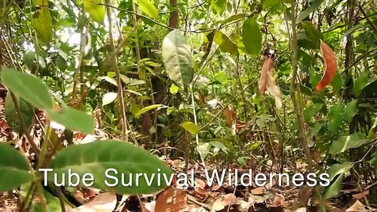 Most Amazing Underground Swimming Pool and Dig To Build Underground House