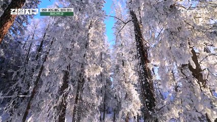 역시 강철이들은 다르다! 차가운 강 입수부터 강물 맛보기까지♨