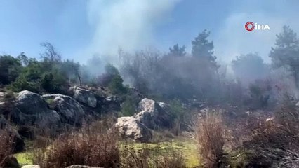 Bursa’da korkutan orman yangını! Müdahale devam ediyor