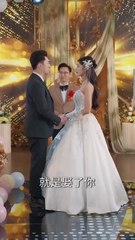 the price of underestimating me chinese drama full eng sub