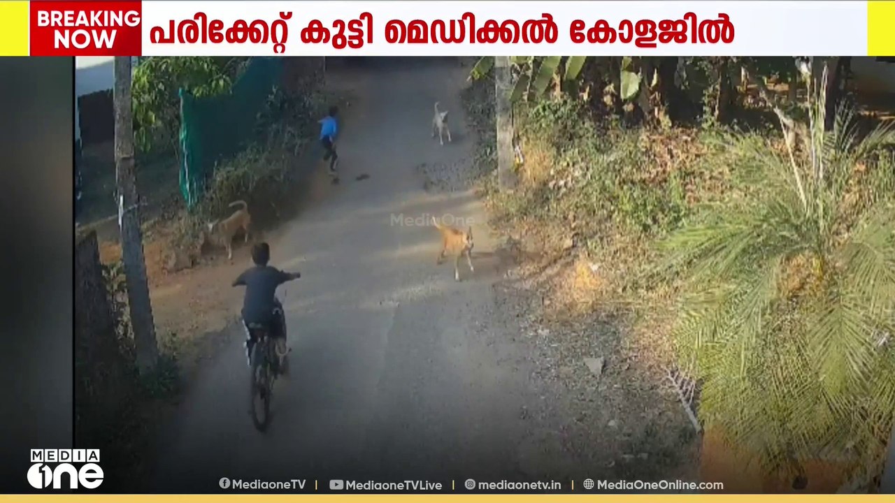 കോഴിക്കോട് പത്തു വയസുകാരന് നേരെ തെരുവ് നായകളുടെ...