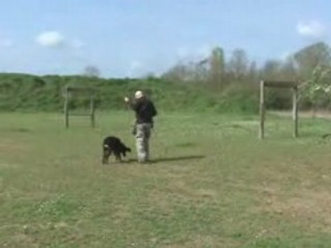 Recherche Utilitaire entrainement