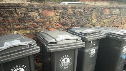 The Green Party urged to stick to fortnightly bin collections