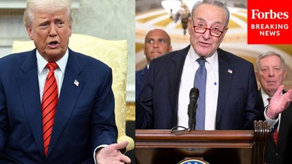 Trump Gives Take On Possible Government Shutdown: 'If It Closes, It's Purely On The Democrats'
