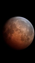 Las imágenes de la "luna roja", el eclipse lunar total de 2025