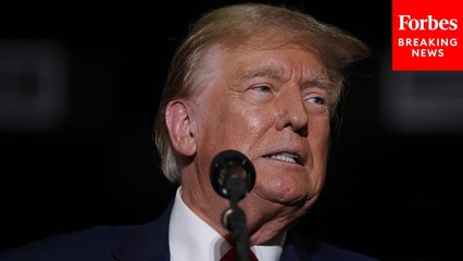 'Why Go Through All This?': Economist Hammers President Trump Over Tariffs