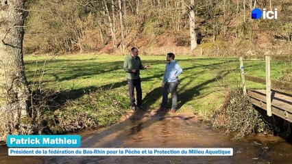 5/5 : la pêche aux écrevisses