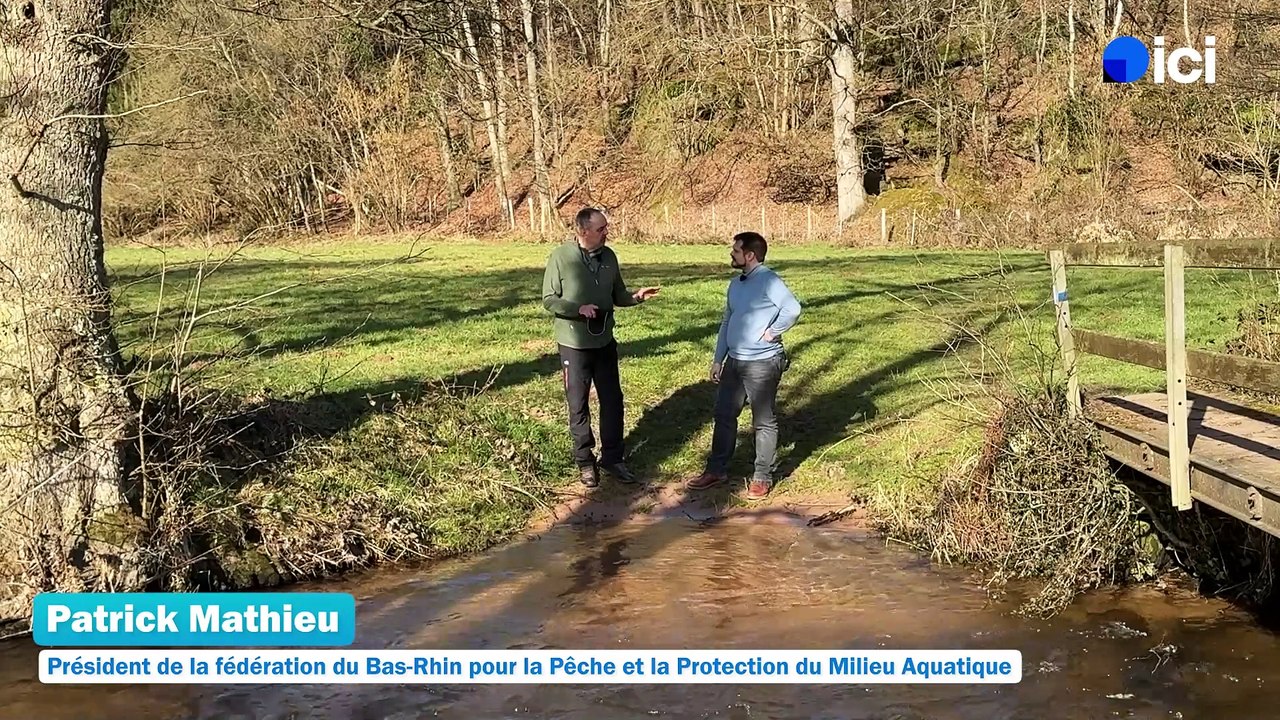 5/5 : la pêche aux écrevisses